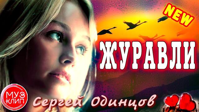 Сергей Одинцов   -   Журавли