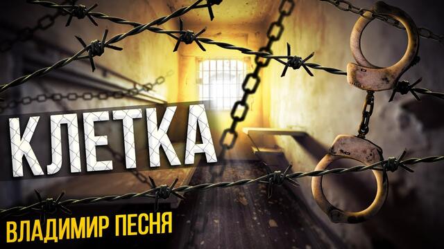 Владимир Песня  -  Клетка