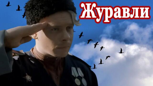 Сергей Одинцов  -  ЖУРАВЛИ.