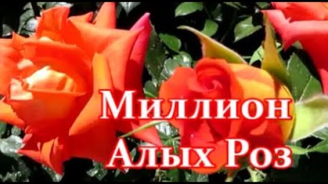 Band ODESSA Favorite - МИЛЛИОН АЛЫХ РОЗ