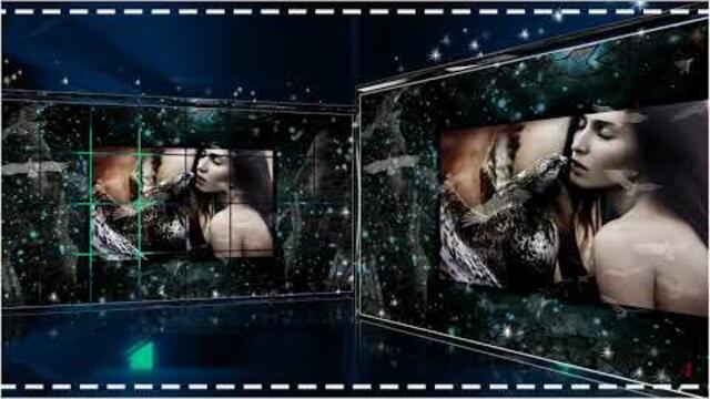 ВИА КРАСНЫЕ МАКИ  -  ПЕРЕЛЕТНАЯ ПТИЦА