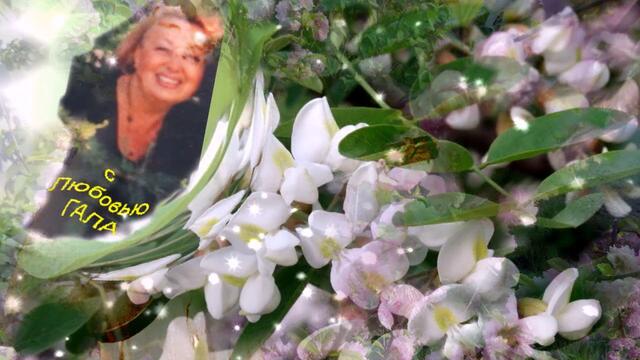 Сергей Орлов -- В твоём саду опять Весна