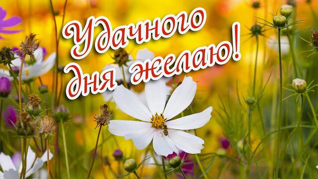 Доброе утро! ❤️Удачного дня желаю!❤️ПОЗИТИВНОЕ МУЗЫКАЛЬНОЕ ПОЖЕЛАНИЕ!❤️