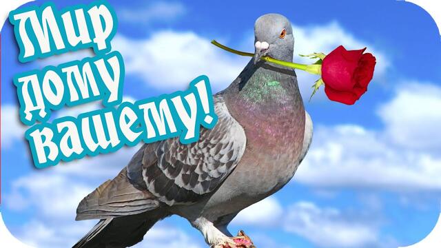 С Добрым утром! ❤️Мир дому вашему! ❤️Пусть хранит вас БОГ!❤️Красивая музыкальная открытка❤️