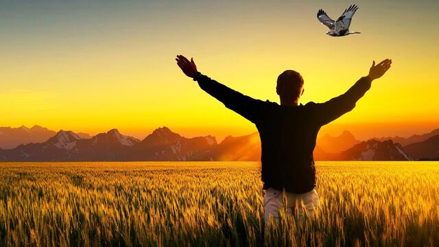 Михаил Кармаш  -  А мне бы встать.