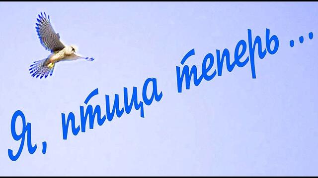 Валерий Палаускас  -  Я , ПТИЦА ТЕПЕРЬ