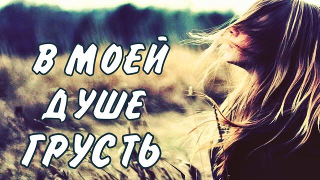 Вадим Ждамиров  -  В моей душе грусть