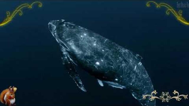 Игорь Крутой   -   НЕЖНОСТЬ ВЕСЬ МИР ЛЮБОВЬ