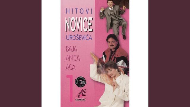 Nedeljko Bajic Baja - Naslednik