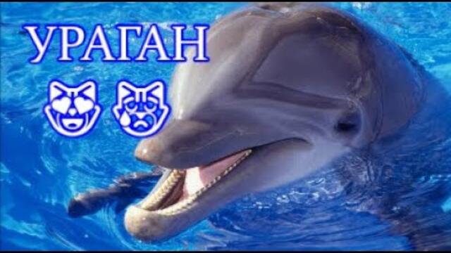 Добрый Вечер!   Band Odessa   -   УРАГАН