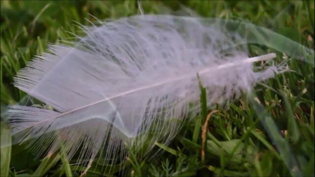 Эдгар Туниянц  -  Ласковый вечер