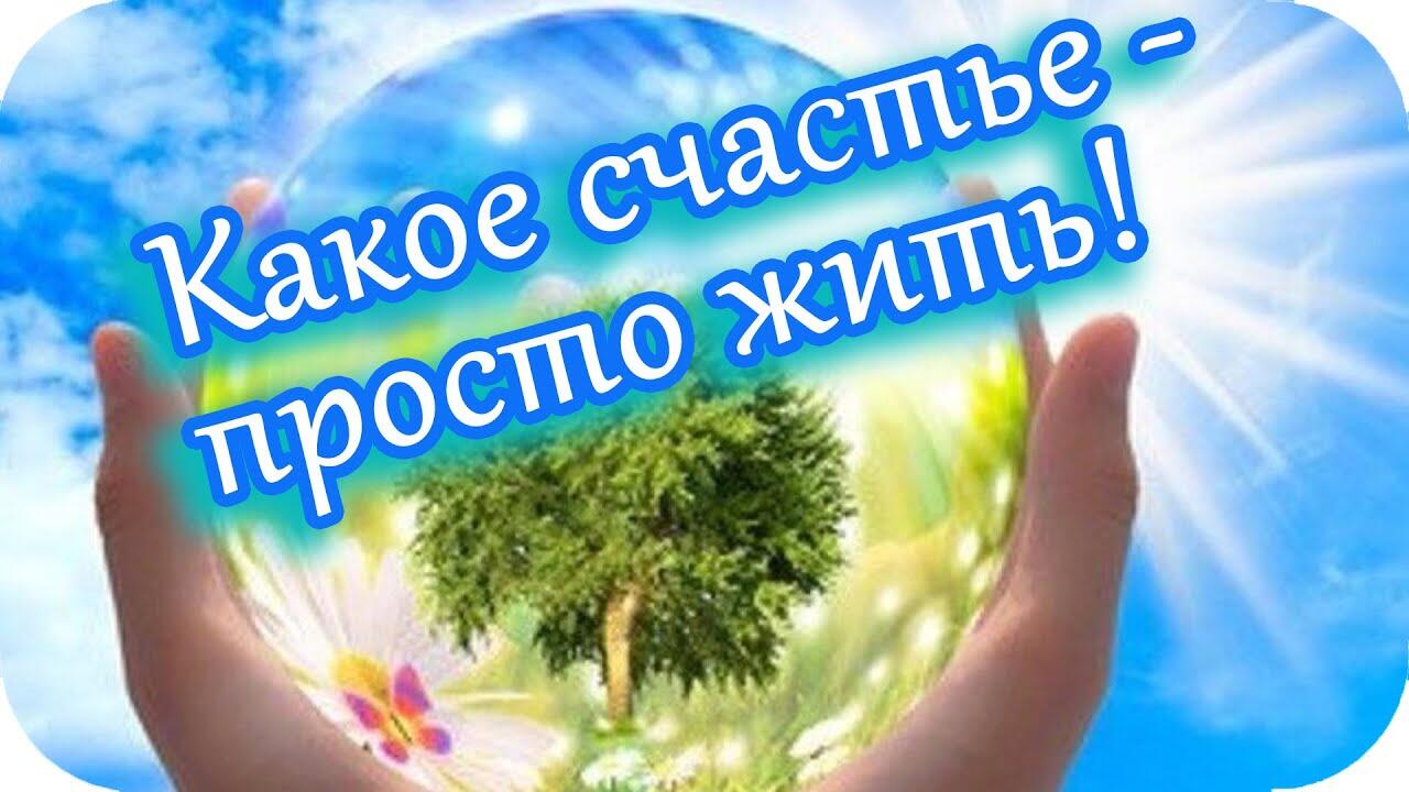 Какое счастье. Счастье просто жить. Какое счастье просто жить дышать ходить встречать. Какое счастье просто жить дышать ходить доброе утро. Открытки какое счастье просто жить.