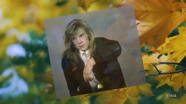 ВИКТОР САЛТЫКОВ  -  Улетели листья с тополей