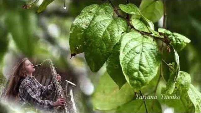 Андрей Обидин  -  Дождь и Саксофон