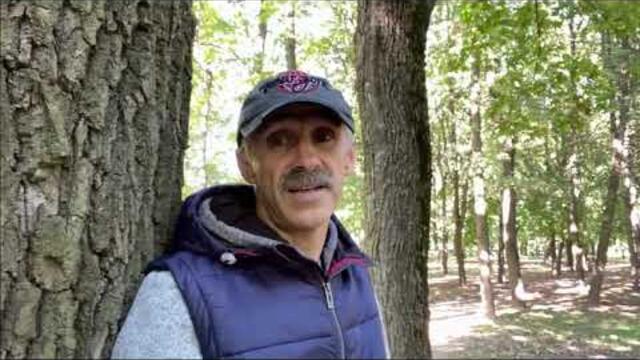 Сергей Орлов - На аллее в парке