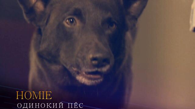 HOMIE - ОДИНОКИЙ ПЁС ( Бг превод )