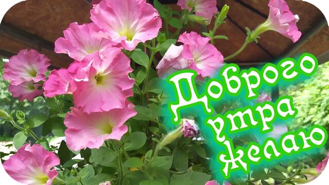 С Добрым утром! ❤️.Желаю большой удачи на весь день! ❤️.Музыкальное пожелание Доброго утра❤️.