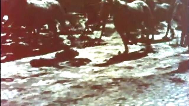 Terence J Hughes - Река на коне