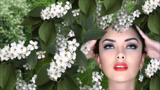 АЛЕКСАНДР БРЫЛЕВ  -  ПЬЯНАЯ ЧЕРЕМУХА