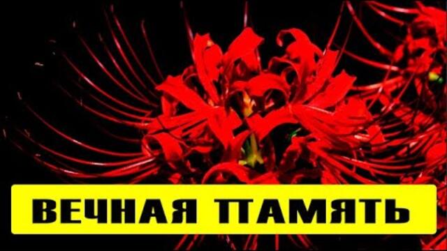 🔥Два часа назад! 🔥Срочно, известная российская журналистка скончалась!