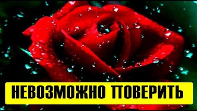 🔥Погиб известный советский композитор!