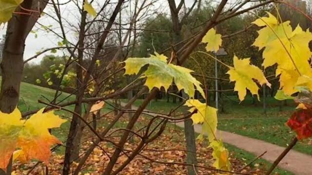 ОСЕННИЙ БЛЮЗ