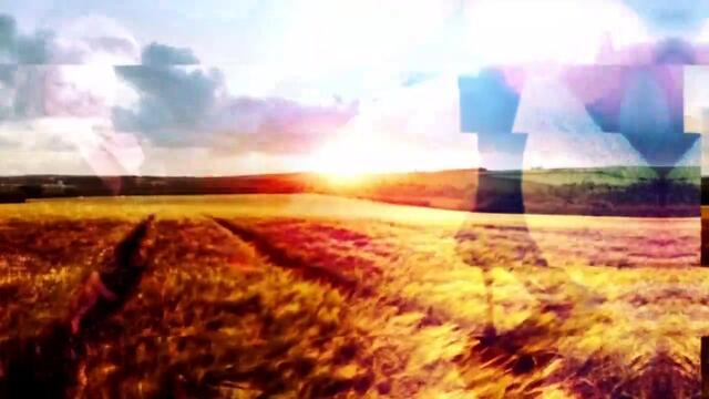 Amor Sem Igual 29/10/2020 Capitulo 95 HDTV Completo