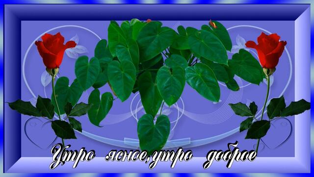 Пожелание!  Доброе утро!  Утро ясное!!