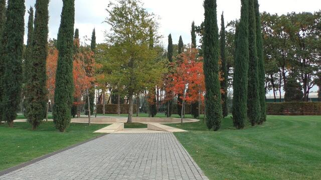 Музыка Сергея Чекалина   -   Осенняя прогулка 2020.