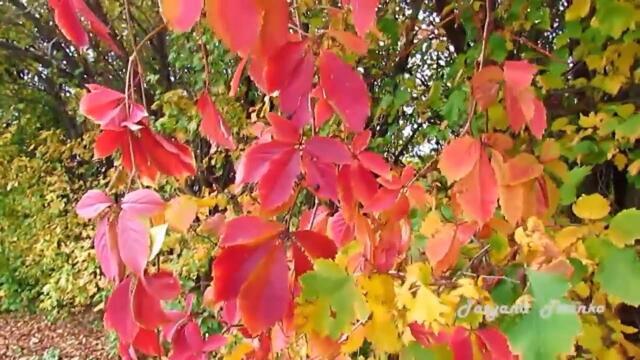 Анрей Обидин  -  Падают листья