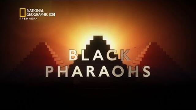 National Geographic / Кокаинови войни: Мерки срещу картелите / HD / БГ АУДИО / 2020