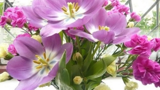Цветница  и Voices of Spring - Johann Strauss - Palm Sunday