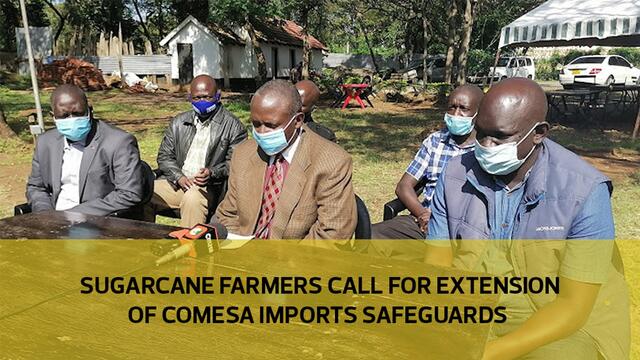 Sugarcane Farmers call for extension of COMESA import safeguards