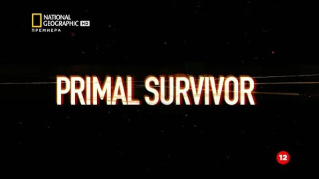 National Geographic / Сървайвър Китай: Обратно към примитивното / HD / БГ АУДИО / 2020