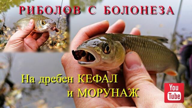 Риболов с болонеза 05 - на дребен КЕФАЛ и МОРУНАЖ