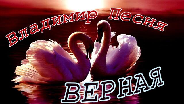 ВЛАДИМИР ПЕСНЯ  -  ВЕРНАЯ!