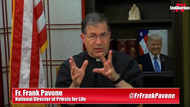 BREAKING: Latest updates about President Trump's re-election progress