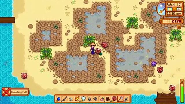 Stardew Valley: The beach