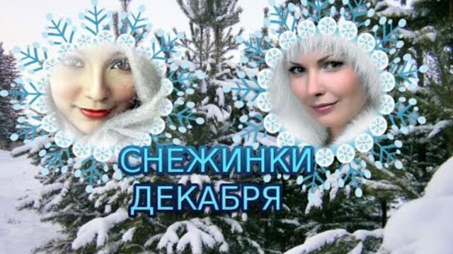 МИХАИЛ МАРТЫНОВ   -   СНЕЖИНКИ ДЕКАБРЯ