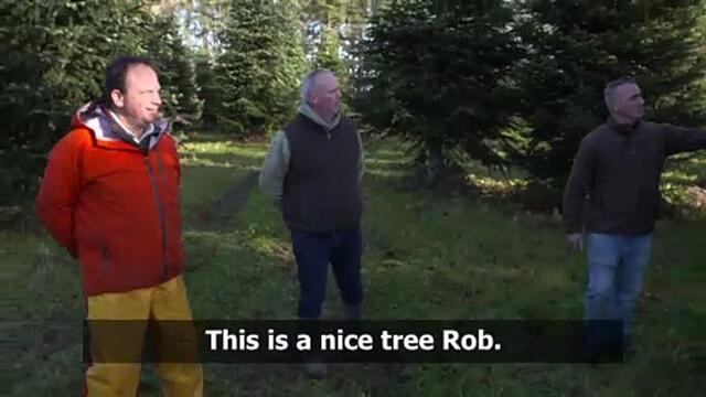 Tree Buying clip of Christmas on the Farm