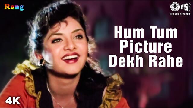 Hum Tum Picture Dekh Rahe | Divya Bharti - Rang | 90's Song