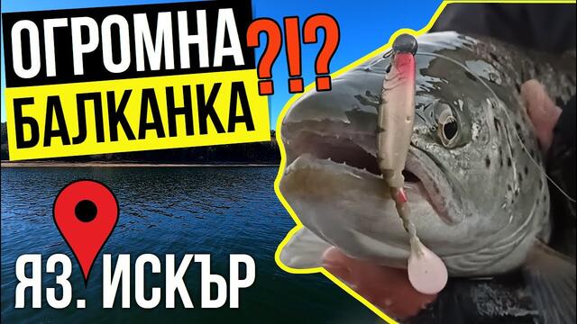 СТРАШНА ИЗНЕНАДА на яз. ИСКЪР!! Балканска ПЪСТЪРВА м/у костурите!
