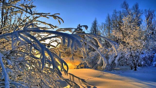 ❄️ Когато дойде зимата ... (Andre Rieu) ❄️
