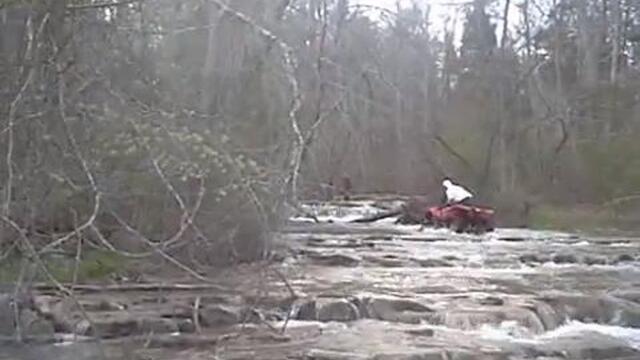 Guy Spots Strange Creature While Riding ATV in Creek