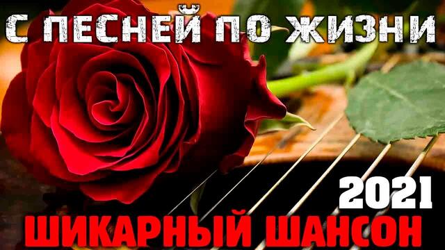 Популярные песни русского шансона для вас!