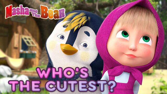 Masha and the Bear 😊 WHO'S THE CUTEST? 🐼 Best episodes collection 🎬 Cartoons for kids