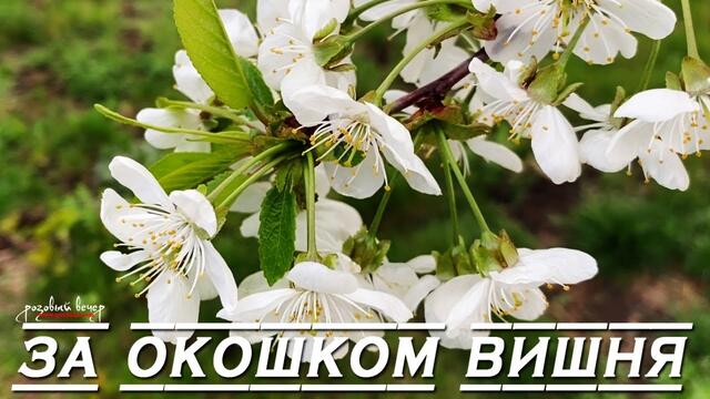 Ярослав Сумишевский - За окошком вишня