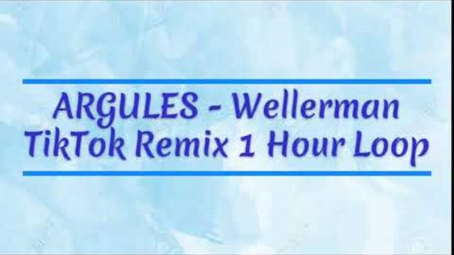 ARGULES - Wellerman Sea Shanty TikTok Remix 1 Hour Loop