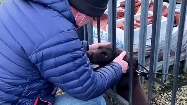 Watch the emotional moment stolen Flora is reunited with owner