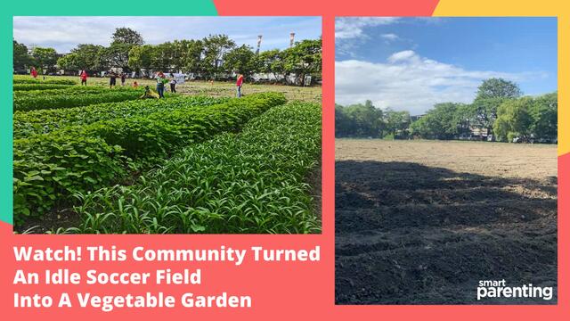 This Idle Soccer Field Got Converted Into A Vegetable Garden